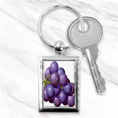 Grape Fruit Key Chains (rectangle)  by Mariart