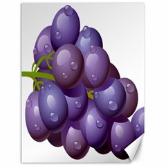 Grape Fruit Canvas 12  X 16   by Mariart