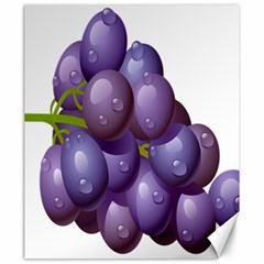 Grape Fruit Canvas 20  X 24  