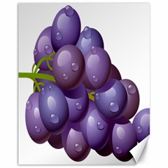 Grape Fruit Canvas 11  X 14   by Mariart