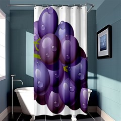 Grape Fruit Shower Curtain 36  X 72  (stall)  by Mariart