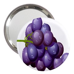 Grape Fruit 3  Handbag Mirrors by Mariart