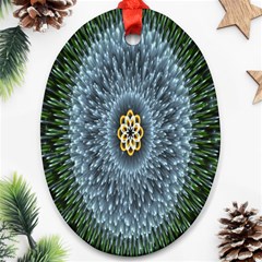 Hipnotic Star Space White Green Ornament (Oval)