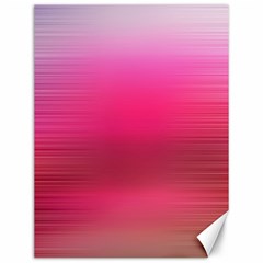 Line Pink Space Sexy Rainbow Canvas 12  X 16  