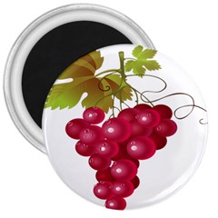 Red Fruit Grape 3  Magnets