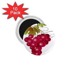 Red Fruit Grape 1 75  Magnets (10 Pack) 