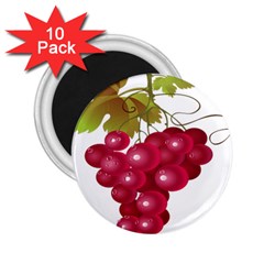 Red Fruit Grape 2 25  Magnets (10 Pack) 