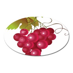 Red Fruit Grape Oval Magnet