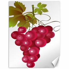 Red Fruit Grape Canvas 12  X 16  