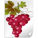 Red Fruit Grape Canvas 12  x 16   11.86 x15.41  Canvas - 1