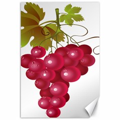 Red Fruit Grape Canvas 12  X 18  