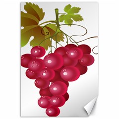 Red Fruit Grape Canvas 20  X 30  