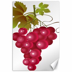 Red Fruit Grape Canvas 24  X 36 