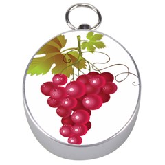 Red Fruit Grape Silver Compasses by Mariart