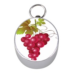 Red Fruit Grape Mini Silver Compasses by Mariart