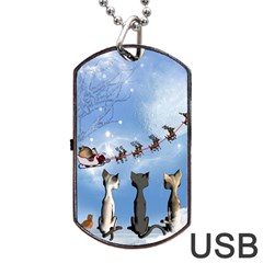 Christmas, Cute Cats Looking In The Sky To Santa Claus Dog Tag Usb Flash (two Sides) by FantasyWorld7