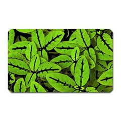 Nature Print Pattern Magnet (rectangular) by dflcprints