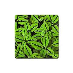 Nature Print Pattern Square Magnet by dflcprints