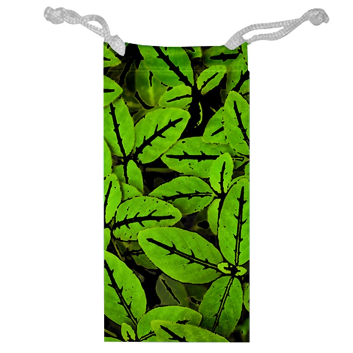 Nature Print Pattern Jewelry Bag