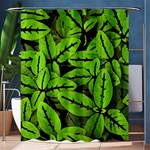 Nature Print Pattern Shower Curtain 60  x 72  (Medium)  60 x72  Curtain