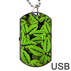 Nature Print Pattern Dog Tag Usb Flash (one Side) by dflcprints