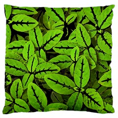 Nature Print Pattern Standard Flano Cushion Case (one Side) by dflcprints