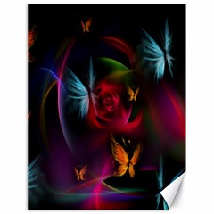 Beautiful Butterflies Rainbow Space Canvas 18  X 24  