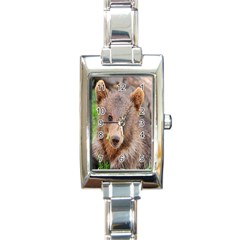 Baby Bear Animals Rectangle Italian Charm Watch