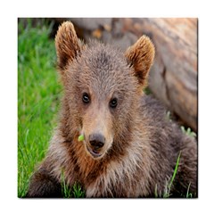 Baby Bear Animals Tile Coasters