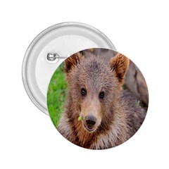 Baby Bear Animals 2.25  Buttons