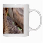 Baby Bear Animals White Mugs Right