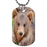 Baby Bear Animals Dog Tag (One Side) Front