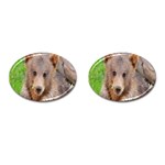 Baby Bear Animals Cufflinks (Oval) Front(Pair)