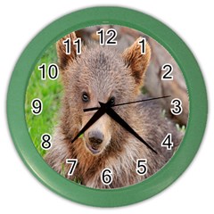 Baby Bear Animals Color Wall Clocks