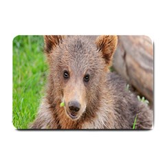 Baby Bear Animals Small Doormat 