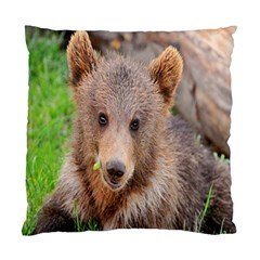 Baby Bear Animals Standard Cushion Case (Two Sides)