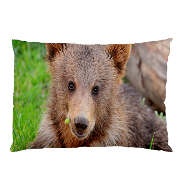 Baby Bear Animals Pillow Case