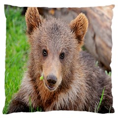 Baby Bear Animals Large Cushion Case (Two Sides)