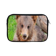 Baby Bear Animals Apple iPad Mini Zipper Cases