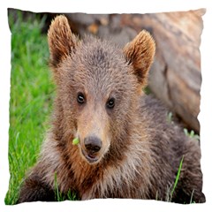 Baby Bear Animals Standard Flano Cushion Case (Two Sides)