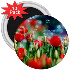 Colorful Flowers 3  Magnets (10 Pack) 