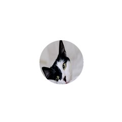 Cat Face Cute Black White Animals 1  Mini Buttons