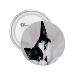 Cat Face Cute Black White Animals 2 25  Buttons