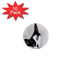 Cat Face Cute Black White Animals 1  Mini Magnet (10 Pack) 