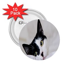 Cat Face Cute Black White Animals 2 25  Buttons (10 Pack) 