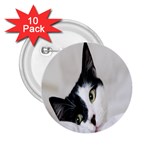 Cat Face Cute Black White Animals 2.25  Buttons (10 pack)  Front