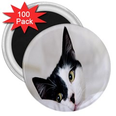 Cat Face Cute Black White Animals 3  Magnets (100 Pack)