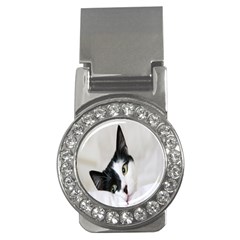 Cat Face Cute Black White Animals Money Clips (cz)  by Mariart