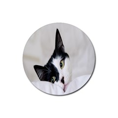 Cat Face Cute Black White Animals Rubber Coaster (round)  by Mariart