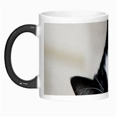 Cat Face Cute Black White Animals Morph Mugs by Mariart